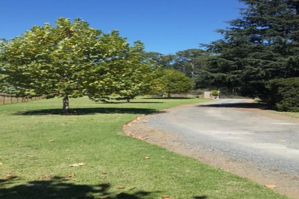 Hilltop Farm Valley View Cottage Henburg Park المظهر الخارجي الصورة